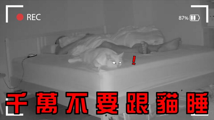 【Đậu tương - SoybeanMilk】Đừng bao giờ ngủ cùng mèo