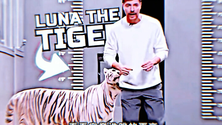 Sekadar memecahkan rekor dunia sekali lagi/. #Menggebu-gebu#AdeganIkonik#HanyaKarenaSatuKlipSayaNont