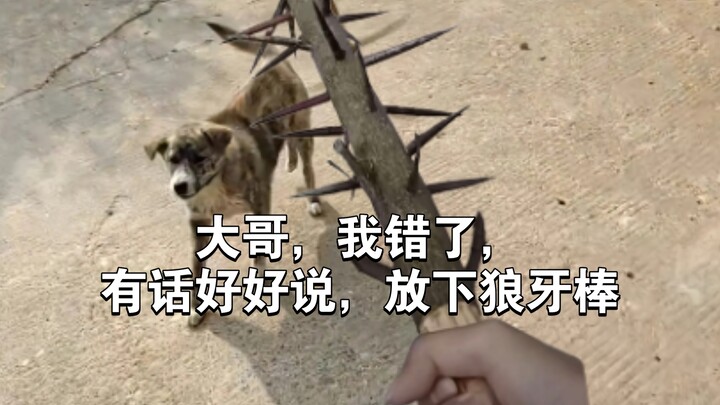 Dogs chase cars—don’t they love chasing things? Why’s it so scared of the mace now?