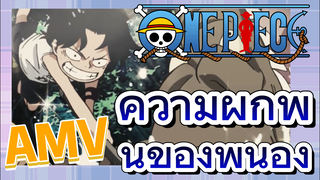 [วันพีซ] AMV | ความผูกพันของพี่น้อง