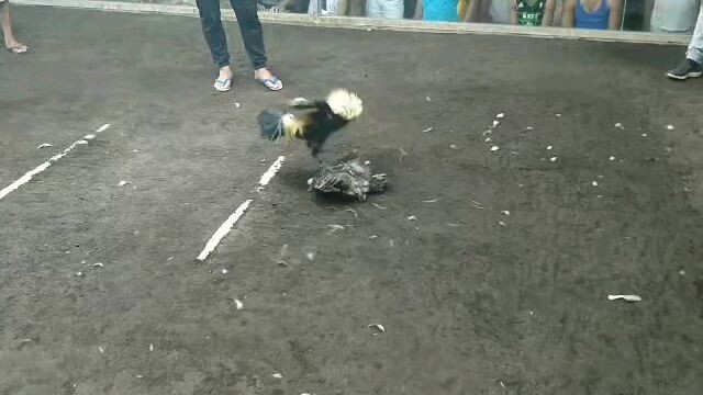 win