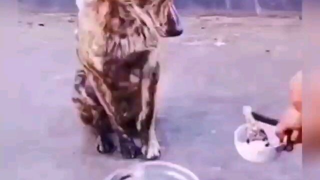 Cho đi để nhận lại