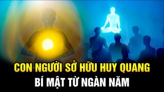 Bí Ẩn Về Trường Năng Lượng Của Nhân Thể: Kinh Mạch Thực Sự Tồn Tại | Ngẫm Radio