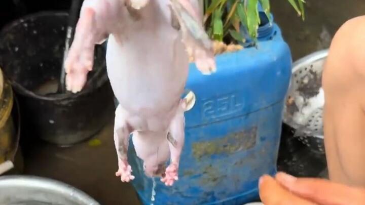 Duck necks that Cantonese people love to eat