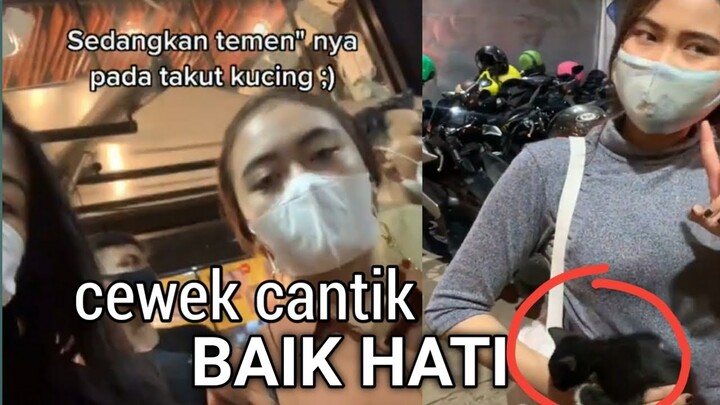 Kucing jalanan dan cewek cantik yg baik hati