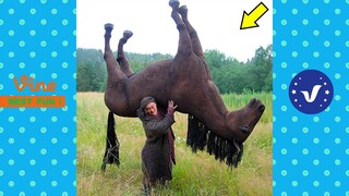 BAD DAY Better Watch This 😂 Best Funny & Fails Of The Year 2023 Part 11