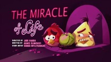 Angry Birds Toons - Season 2, Episode 8- The Miracle of Life