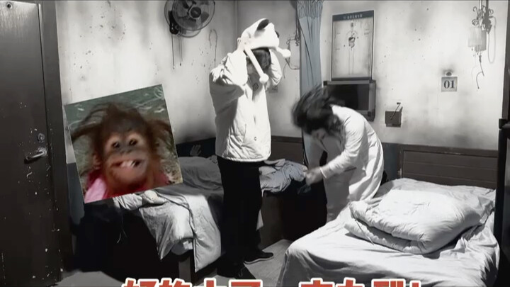 npc：不理解 但是尊重 而且能挣钱