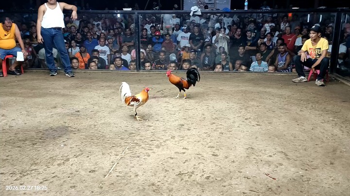 3rd fight 5k x lemon win 💪💪💪💪