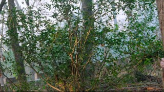 🇨🇳Ep.06 - Love In The Clouds(2025) Eng Sub