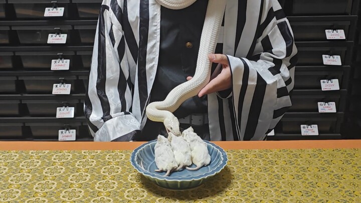 镝丸开始自律