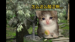 After that, I never tasted peaches as sweet as those again.