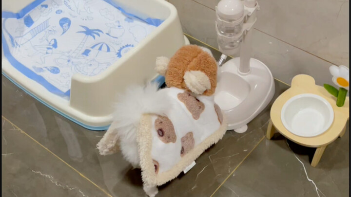A little blanket growing on my body—so cute!!!