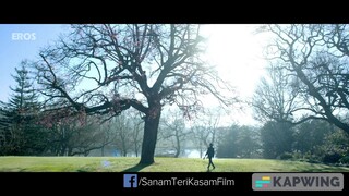 Sanam Teri Kasam theme song