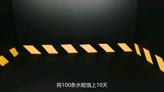 Để 100 con đỉa nhịn đói trong 10 ngày, rồi đặt nguyên một cái đầu heo vào chum nước, cảnh tượng suýt