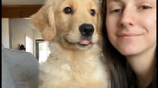 Kiss your dog suddenly and see how it reacts