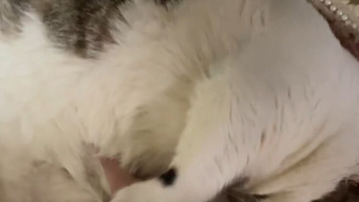 Đặt mình vào vị trí của người khác mà suy nghĩ, có thể chính tôi cũng sẽ ghét.