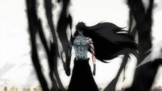 Ichigo VS Aizen [English Dubbed].