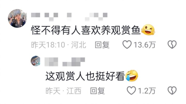 Haha, ai bảo cuộc đời chẳng có mấy khán giả chứ!