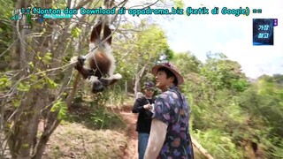 Adventure by Accident S3 episode 10 END (Sub Indo)