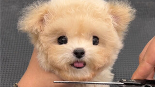 Wow, it's so cute when the eyes are exposed