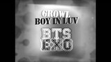 [MASHUP] 방탄소년단 (BTS) & EXO - 상남자 (Boy In Luv) + 으르렁 (Growl) Remix.