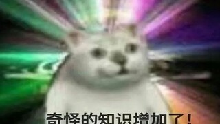 【千     本     mur】奇怪的mur增加了