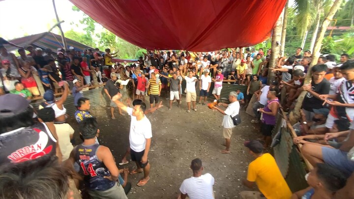 Lose! isang panalo lang talaga ang kinaya ng maliit nating white!