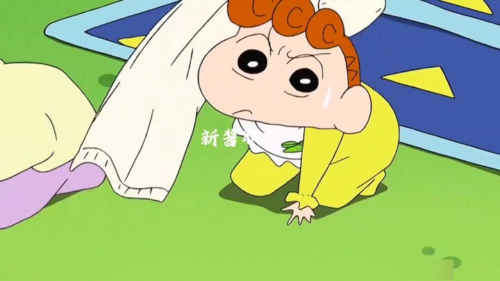 Xiaokui, who is less than one year old, is shy when she sees handsome guys