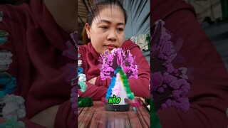 Thử Tìm Cây Bông Pha Lê ĐẸP NHẤT #challenge #experiment #thuthach #thunghiem