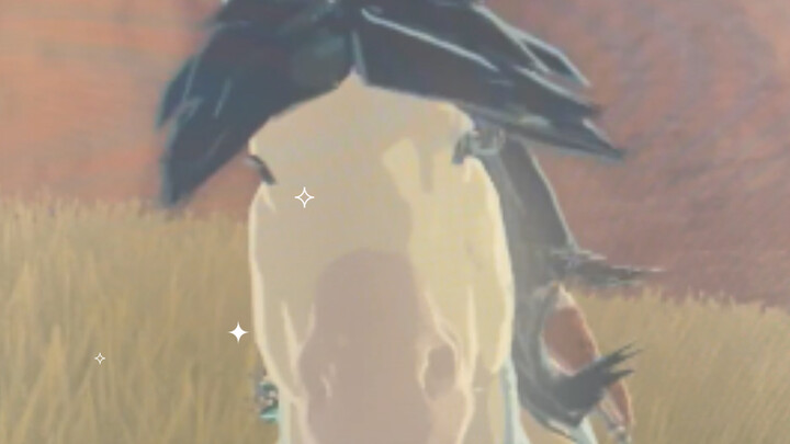 I actually really liked playing Zelda.