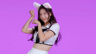 Hãy là một chú mèo hoang nhỏ ngày hôm nay