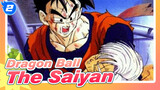[Dragon Ball] The Saiyan Fights for the Future in such a Despairing Time_2