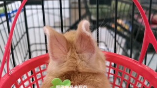 The supermarket lady kept touching me