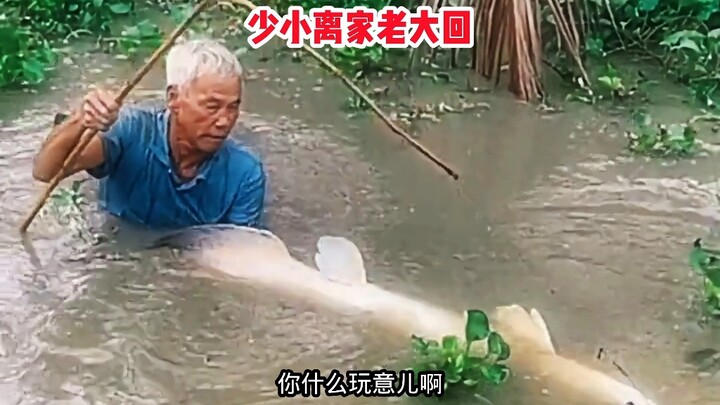 คันเบ็ดในมือของคุณลุงดูไม่ธรรมดาเลย