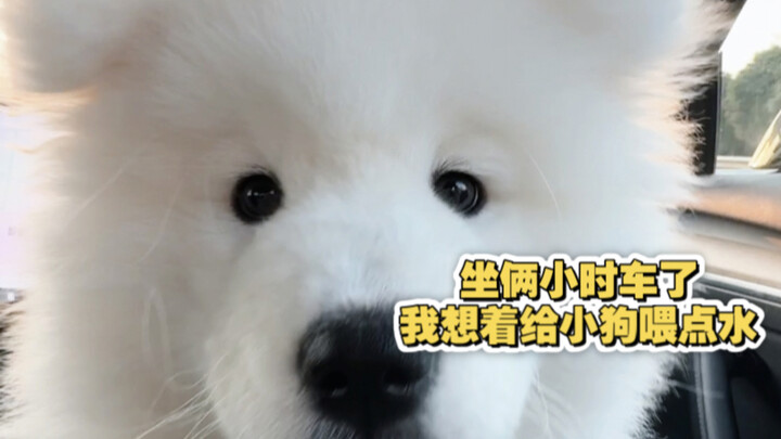 现在回想起来还是有一点后怕！
