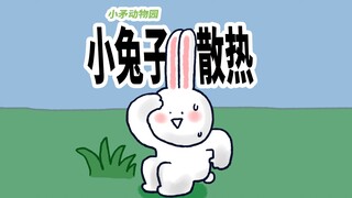 [Little Spear Zoo] Does anyone dislike the hot weather? Little Rhino is here to help you!