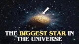 The Biggest Star in the Universe - Size Comparison #BiggestStar #CosmicMarvels #SpaceExploration