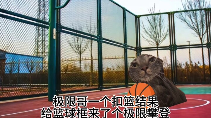 极限哥真是个人物