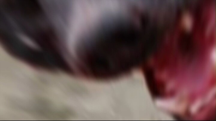 O ANIMAL QUASE IMORTAL: O TEXUGO-DO-MEL NÃO TEM MEDO DE COBRAS! 😱🐍