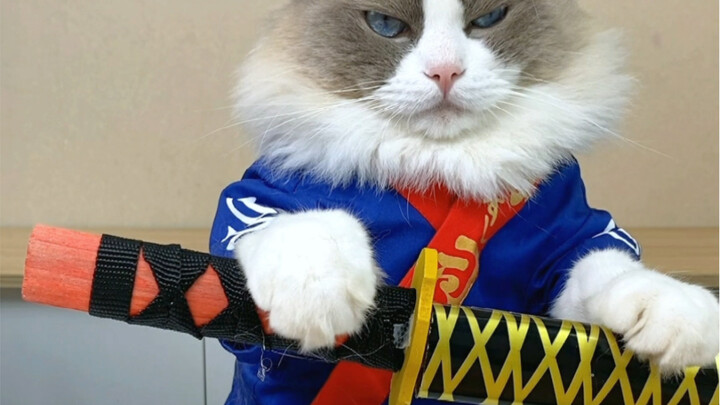 In martial arts, speed is invincible.