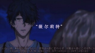 不要再内耗下去了——薇尔莉特