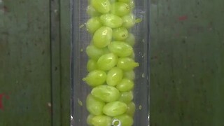 【液压机压一切】葡萄