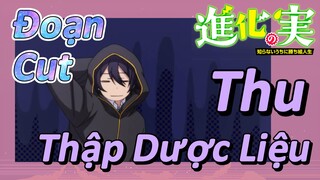 [The Fruit of Evolution]Đoạn Cut |Thu Thập Dược Liệu