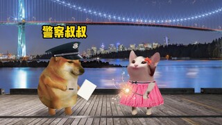 这是哈尔滨现状吗？