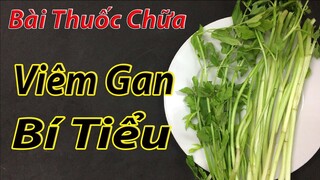 Lấy rau cần rồi làm theo cách này, Viêm Gan hay Bí Tiểu đến mức nào cũng phải khỏi tịt