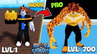 Blox Fruit - Nếu Ăn LEOPARD hóa Báo Level 1 BÁ CHỦ SEA 1 (Level 1 to 700 in roblox)