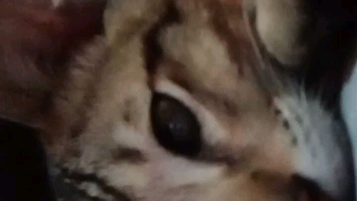 Sana all cute ♥️