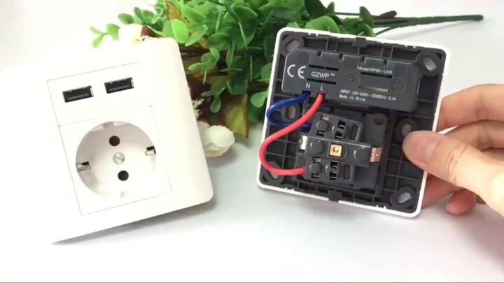 EU Wall Socket With 2 USB Ports