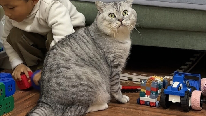 ฉันกับต้าจ้วงเผลอตีน้องเล็กไป